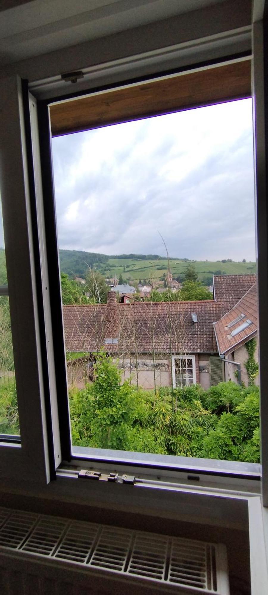La Ferme Des Perles Noires Hotel Ribeauville  Exterior photo