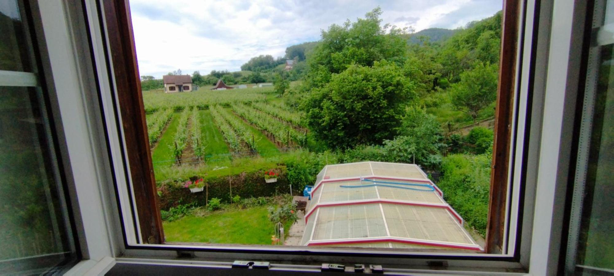 La Ferme Des Perles Noires Hotel Ribeauville  Exterior photo